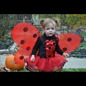 Lady bug costume